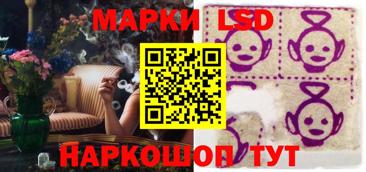 Наркотические марки 1500мкг  Наркотические марки 1500мкг  Вход с VPN  Новозыбков 